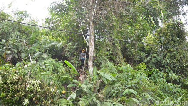 PLN benahi listrik PLN pasca banjir