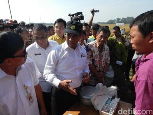 Mentan Minta Asuransi Petani di Bojonegoro 1 Minggu Cair