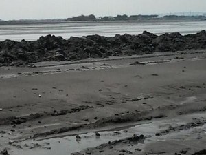 Jokowi Bubarkan Badan Penanggulangan Lumpur Sidoarjo
