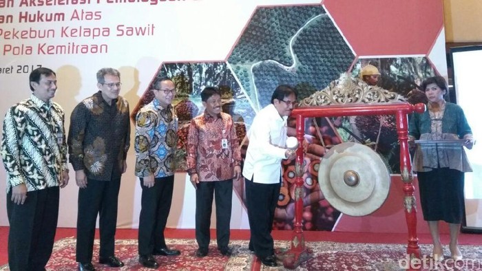 Pengembangan Kebun Sawit RI Hadapi Masalah Lahan Hingga Pembiayaan