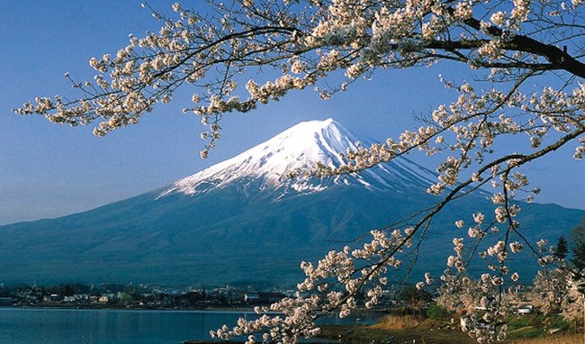 Ke Jepang di Musim Semi, Ini 7 Destinasi Terbaik untuk Melihat Sakura