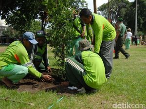 Ruang Terbuka Hijau di Pasuruan Masih 5 Persen
