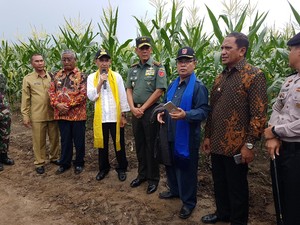 Melongok Tambang Emas Hijau dan Emas Biru di Maluku