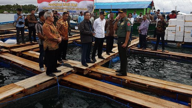 Melongok 'Tambang Emas Hijau' dan 'Emas Biru' di Maluku