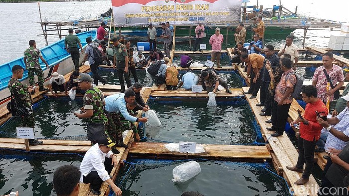 Gubernur Maluku Jadikan Emas Hijau dan Emas Biru Program Prioritas