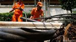 Kulit Kabel yang Sumbat Gorong-gorong di Jakarta