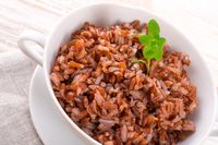 7 Alternatif Makanan Pengganti Nasi Cocok Buat Kamu yang 7 Alternatif Makanan Pengganti Nasi Cocok Buat Kamu yang