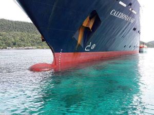 Walhi Minta Aturan Kapal Pesiar Mudah Masuk Indonesia Dievaluasi