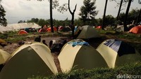 Foto: Basecamp Mawar menyediakan area berkemah yang cukup luas di bawah rindangnya hutan pinus. Kelap-kelip kota Semarang serta pemandangan Gunung Merbabu dapat traveler lihat langsung di lokasi (Andhika Prasetya/detikTravel)