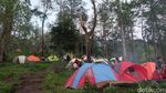 Basecamp Mawar yang Asyik Buat Kemping di Gunung Ungaran