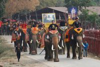 Warga Thailand merayakan Hari Gajah.