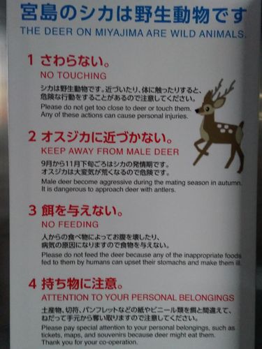 Melihat Rusa Sika, Hewan Suci yang Melegenda di Jepang