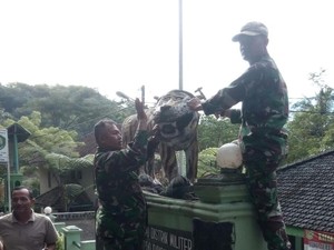 Patung Macan Lucu, Pangdam Siliwangi: Senimannya Kurang Canggih