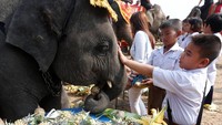 Beberapa murid nampak memberi makan seekor gajah di Hari Gajah Nasional di Ayutthaya, Thailand, Senin (13/3/2017). REUTERS/Chaiwat Subprasom.
