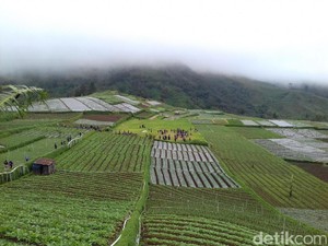 Rekonstruksi Diksar Maut Mapala UII Sempat Diwarnai Kabut Tebal