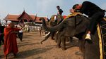 Keseruan Warga Thailand Rayakan Hari Gajah