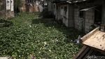Kali Gendong Jadi Lautan Sampah
