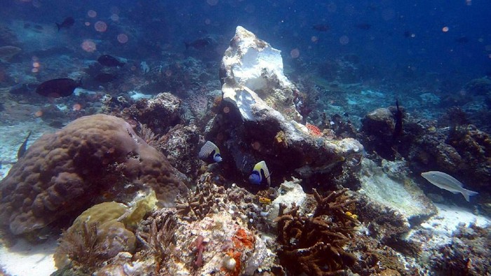 KLHK Pelajari Kasus Kapal Pesiar Rusak Terumbu Karang Raja Ampat