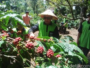 Dua Sektor Ini Dongkrak Realisasi Investasi Kabupaten Pasuruan