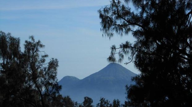 Gunung Welirang Gunung Welirang di Pasuruan, Jawa Timur
