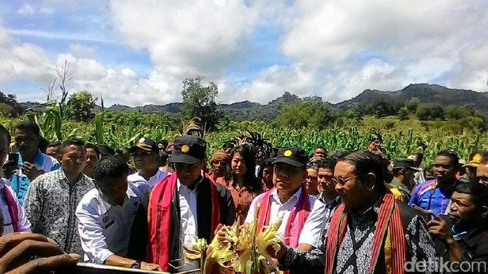 Perjalanan Amran Pantau Pertanian di Perbatasan NTT