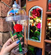 Wah, Tumbler 'Enchanted Rose' dari Beauty and The Beast Ini Laris Diburu!