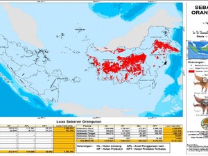 Peta Tematik: Sejarah, Komponen dan Pemanfaatannya dalam Kehidupan Manusia