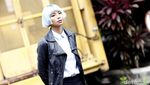 Shareefa Daanish, Si Penakut yang Jadi Ratu Horor Baru