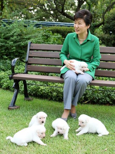 Tinggalkan 9 Anjing di Istana Kepresidenan, Park Geun-Hye Digugat