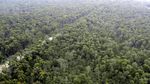 Sensasi Melayang 4.000 Kaki di Atas Langit Australia