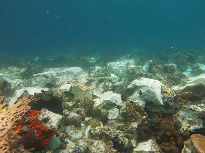 Pemerintah akan Gugat Perusahaan Kapal Perusak Karang Raja Ampat