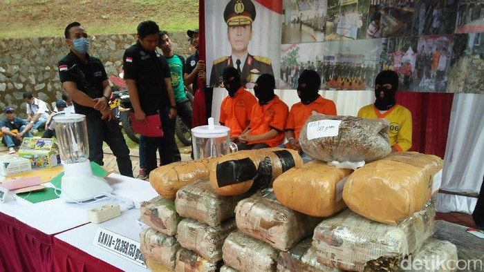 Polisi Musnahkan Hampir 24 Kg Sabu dan Ganja