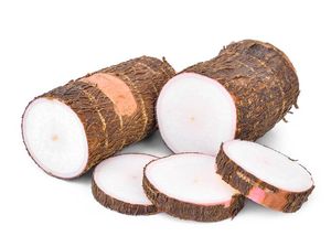 Anekdot Singkong Mogol