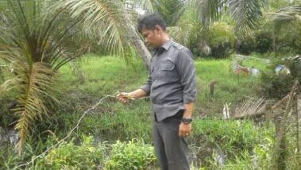 Satu Keluarga di Riau Tewas Tersetrum Jerat Babi yang Dipasang