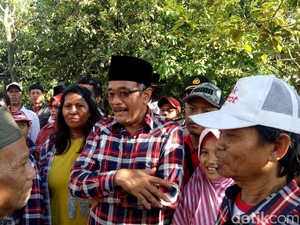 Blusukan ke Jagakarsa, Djarot Ingin Tanah Kosong Dibangun RPTRA