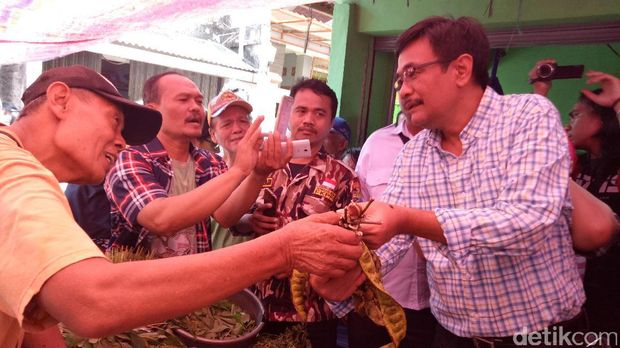 Djarot borong sayur di Pasar Kedip / 
