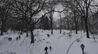 Saat Central Park diselimuti salju (Foto: AFP PHOTO/ERIC BARADAT)