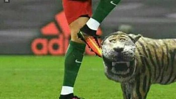 Pesepakbola Ronaldo ternyata tetap takut dengan macan, meski tampanya lucu. (Foto: internet)