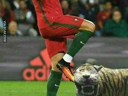 Meme Patung Macan Koramil Bikin Ngakak