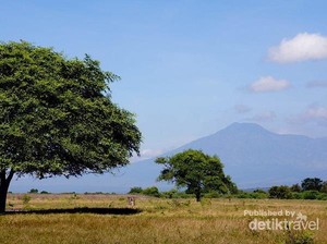 5 Lokasi Outdoor yang Keren Parah Buat Foto OOTD