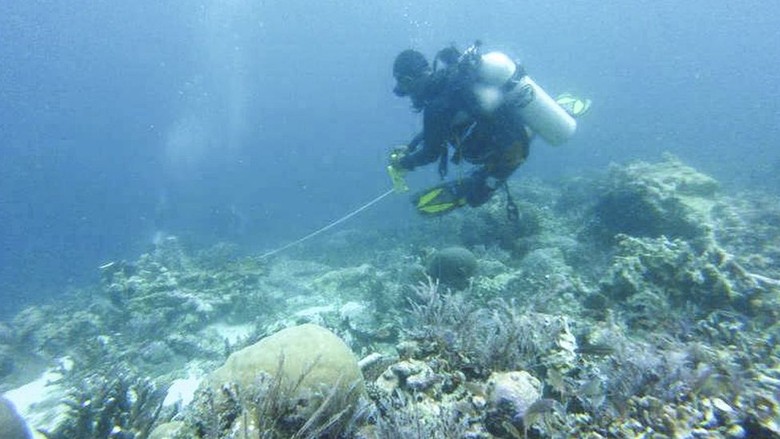 RI Evaluasi Kebijakan Kapal Pesiar di Daerah Konservasi RI Evaluasi Kebijakan Kapal Pesiar di Daerah Konservasi