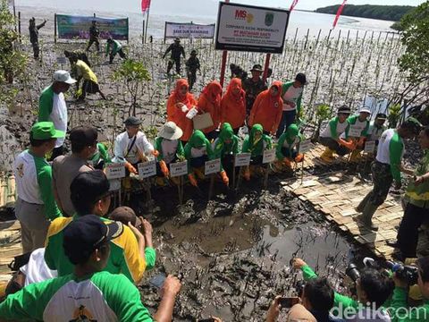 Anak-anak tanam 1.000 mangrove