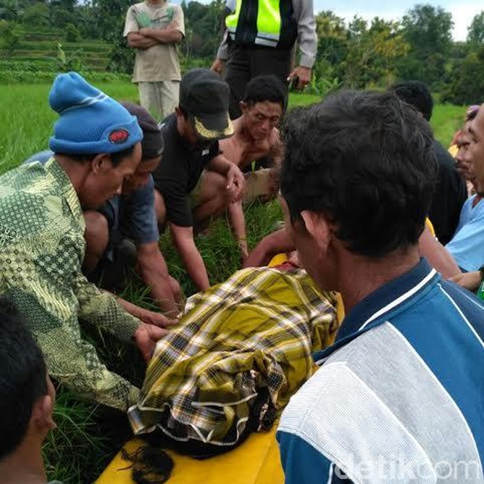 Bersihkan Rumput, Supiatun Tewas Tersambar Petir