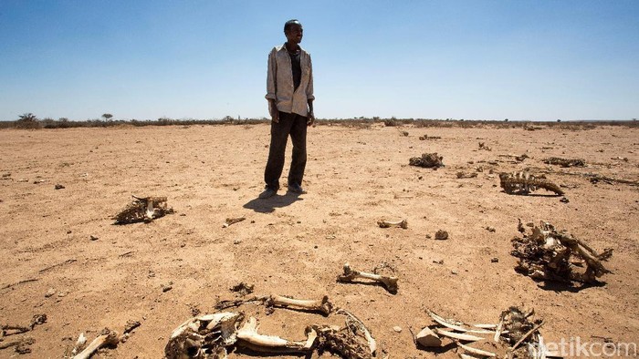 26 Orang Tewas Akibat Kelaparan di Somalia Hanya dalam 36 Jam