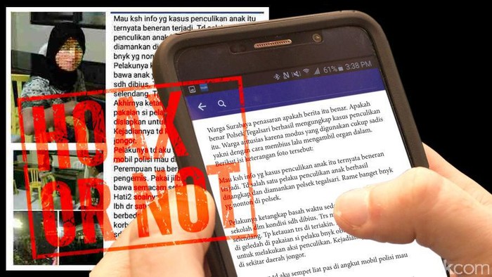 Heboh Foto Perempuan Penculik dan Pengambil Ginjal Anak