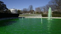 Begini penampakan kolam yang berubah warna menjadi hijau di kawasan Gedung Putih. Pool/Olivier Douliery/Getty Images.