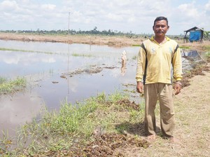 Bertani di Lahan yang Dibuka Tanpa Membakar