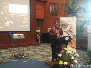 Kepincut Gelombang Bono, Menpar Akan Bangun KEK Pariwisata Riau
