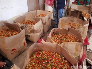 Turunkan Harga, BUMN Ini Pasok 100 Ton Cabai Rawit Merah ke Jakarta