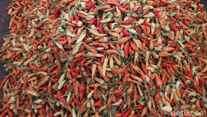 Pasokan Berlimpah, Penurunan Harga Cabai Terus Berlanjut